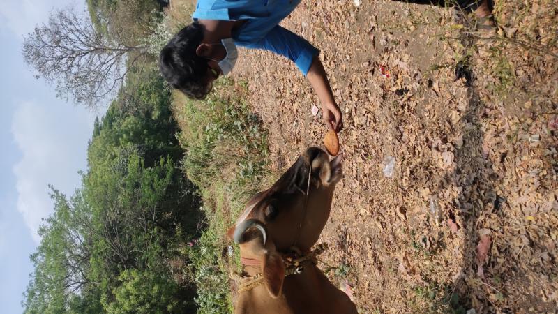 VIJAYA