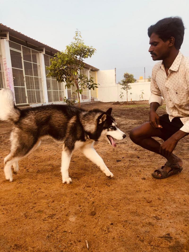 Kabilan
